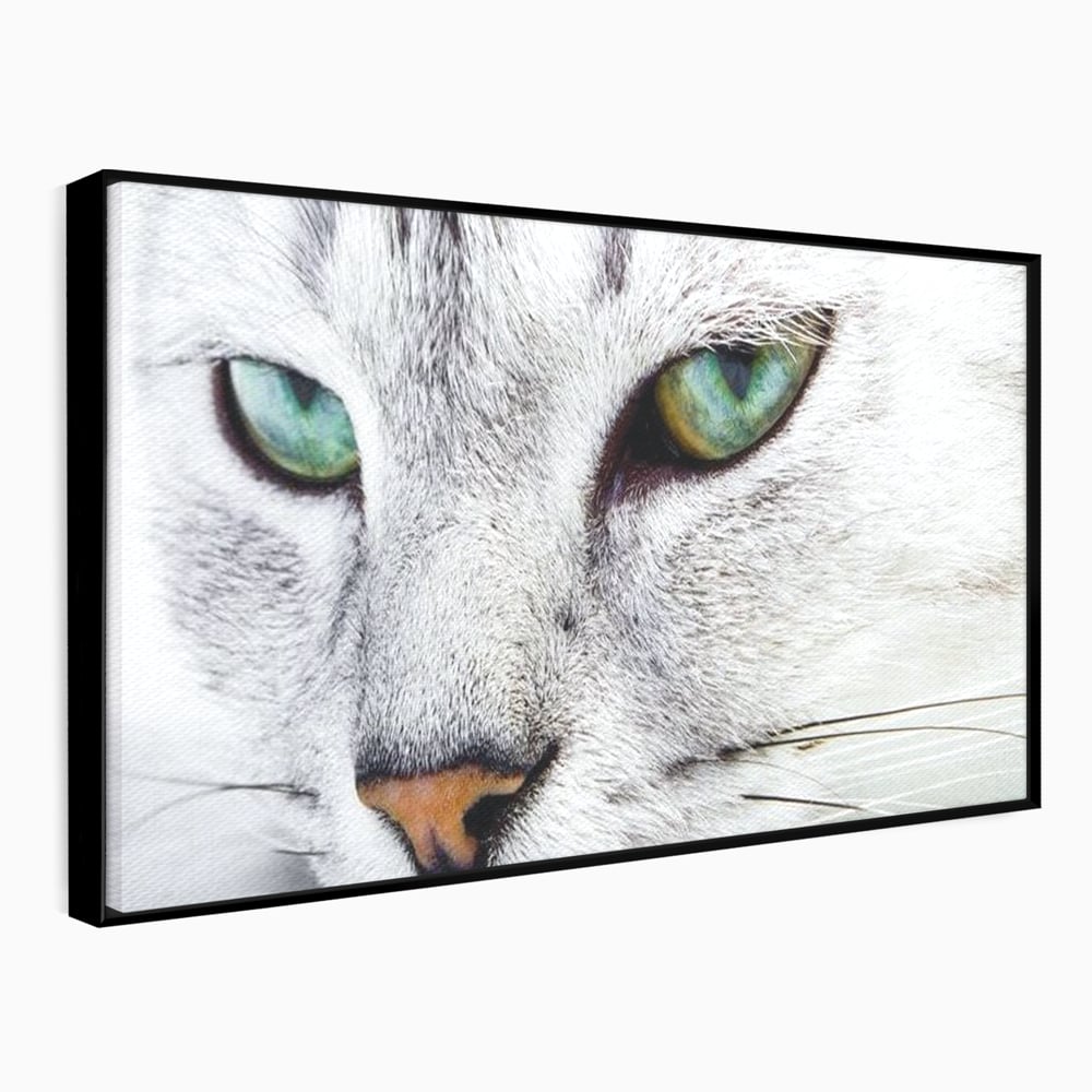Tablou canvas cu tablou canvas cu ochi de pisica, in rama de aluminiu negru